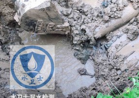 东台市水管漏水检测公司5